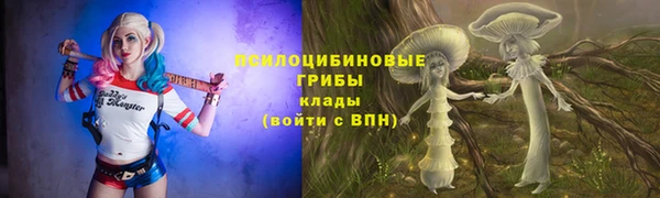 спайс Алексин