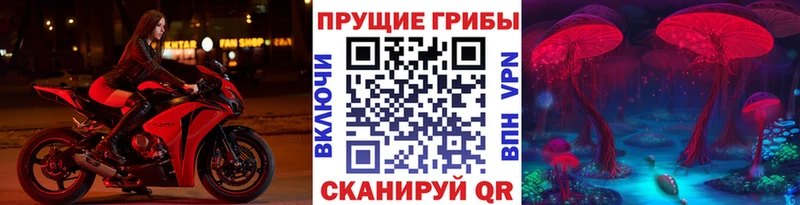 Галлюциногенные грибы Psilocybine cubensis  где можно купить   Заполярный 