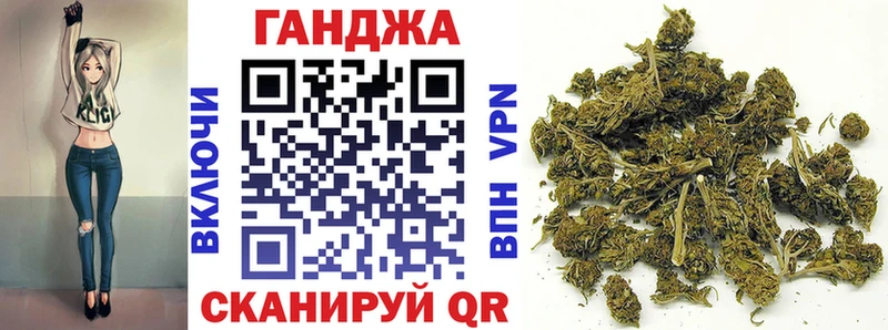 Конопля гибрид  Заполярный 